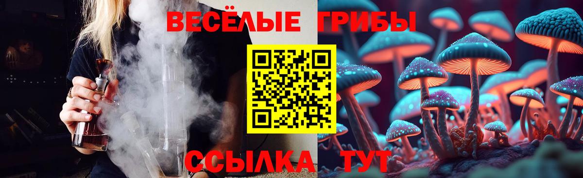 Псилоцибиновые грибы мухоморы  Галлюциногенные грибы прущие грибы  Обь  Вход с VPN 